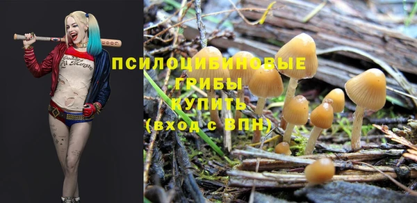 соль курить ск Богородицк