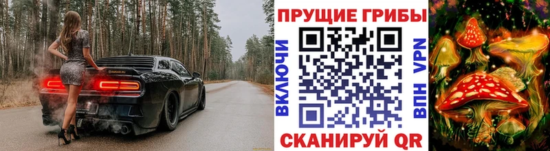 Псилоцибиновые грибы мицелий  Купить где  Томари 